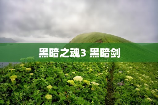 黑暗之魂3 黑暗剑