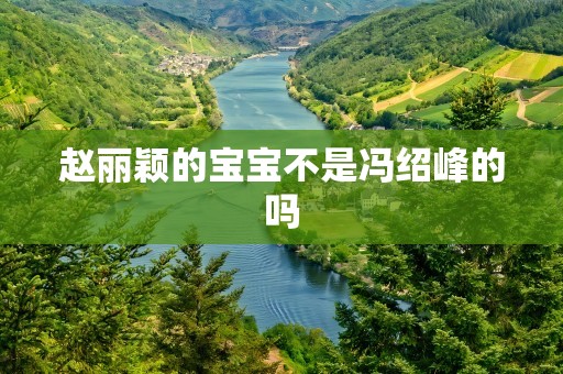 赵丽颖的宝宝不是冯绍峰的吗