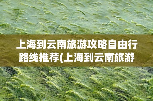 上海到云南旅游攻略自由行路线推荐(上海到云南旅游攻略自由行路线推荐图)