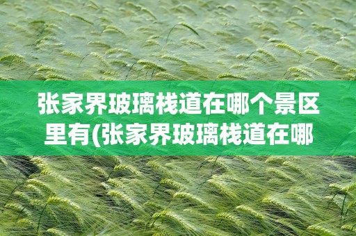 张家界玻璃栈道在哪个景区里有(张家界玻璃栈道在哪个景区里有开放)