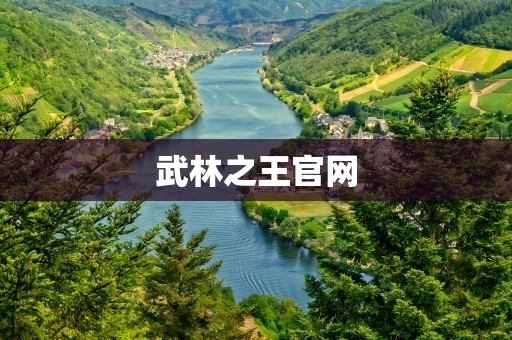武林之王官网