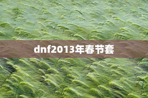 dnf2013年春节套