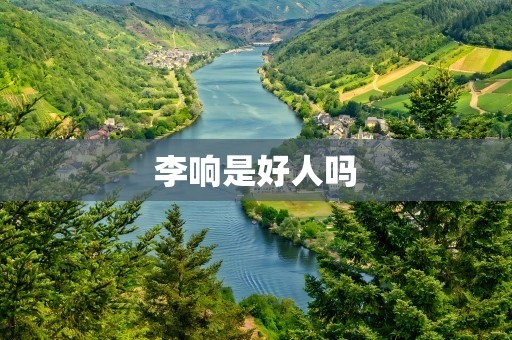 李响是好人吗