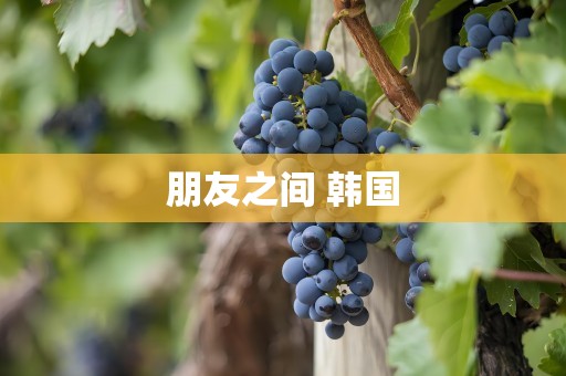 朋友之间 韩国