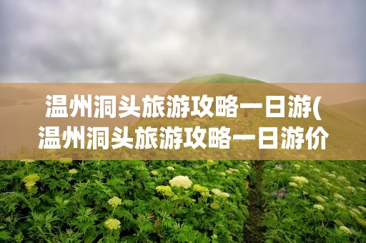 温州洞头旅游攻略一日游(温州洞头旅游攻略一日游价格)