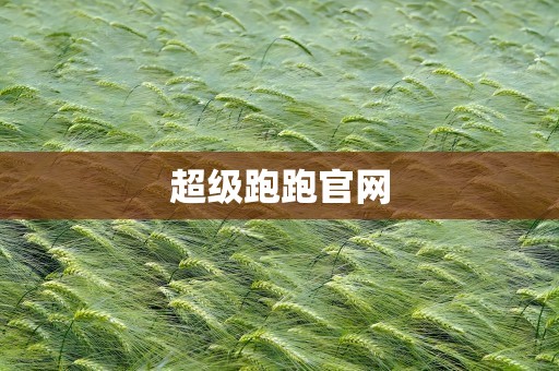 超级跑跑官网