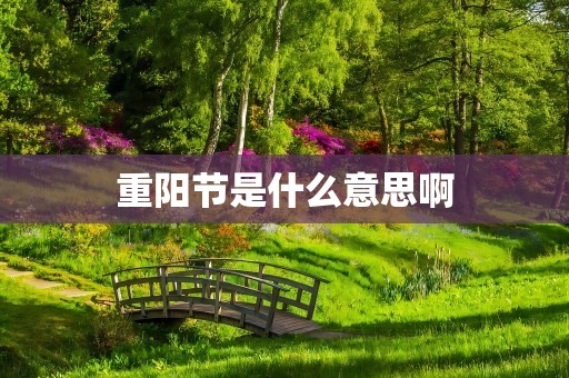 重阳节是什么意思啊