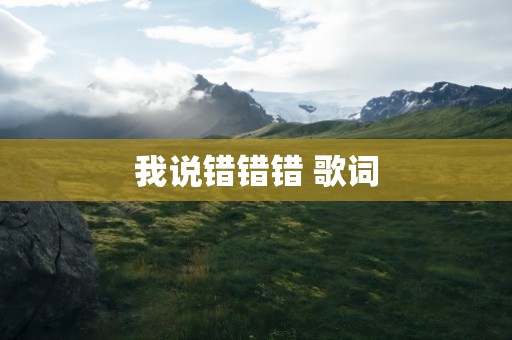 我说错错错 歌词