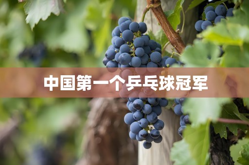 中国第一个乒乓球冠军