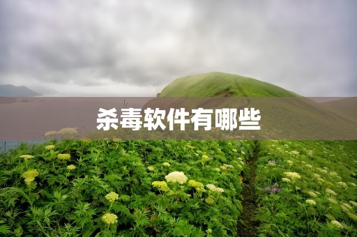 杀毒软件有哪些