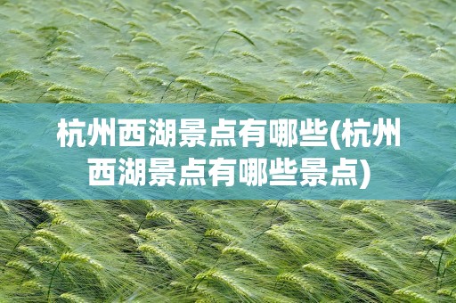 杭州西湖景点有哪些(杭州西湖景点有哪些景点)