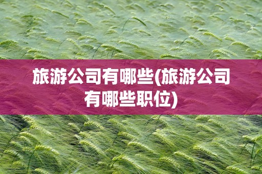 旅游公司有哪些(旅游公司有哪些职位)