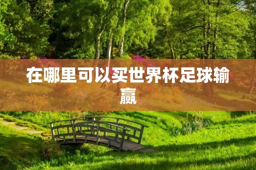 在哪里可以买世界杯足球输赢