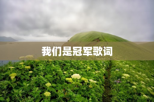 我们是冠军歌词