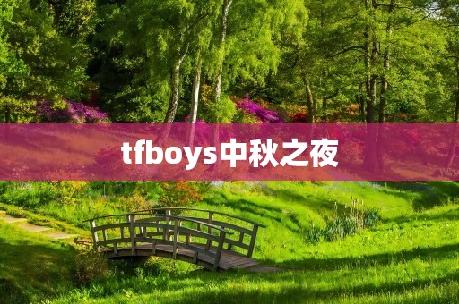 tfboys中秋之夜