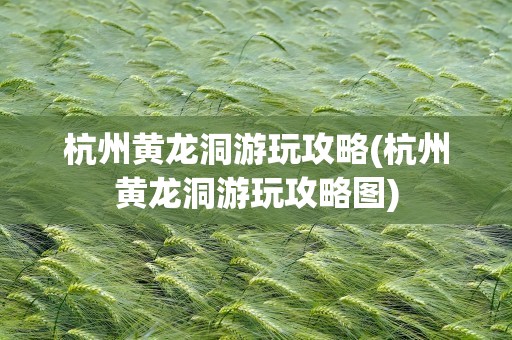 杭州黄龙洞游玩攻略(杭州黄龙洞游玩攻略图)