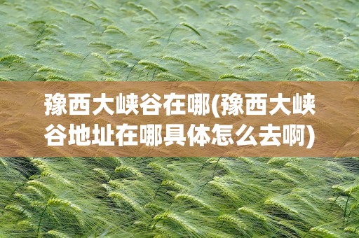 豫西大峡谷在哪(豫西大峡谷地址在哪具体怎么去啊)