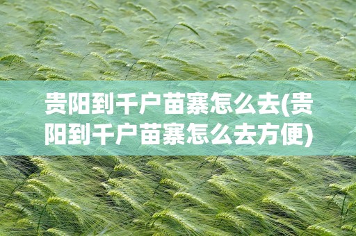 贵阳到千户苗寨怎么去(贵阳到千户苗寨怎么去方便)