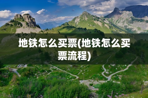 地铁怎么买票(地铁怎么买票流程)