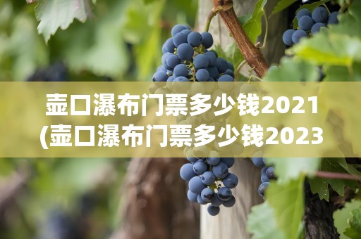 壶口瀑布门票多少钱2021(壶口瀑布门票多少钱2023)