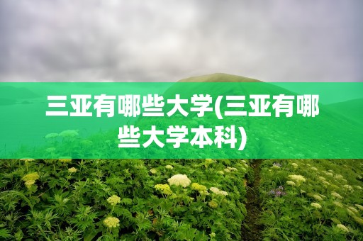 三亚有哪些大学(三亚有哪些大学本科)