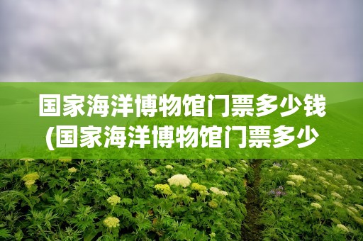 国家海洋博物馆门票多少钱(国家海洋博物馆门票多少钱一张)