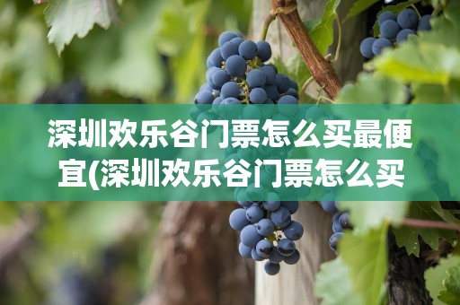 深圳欢乐谷门票怎么买最便宜(深圳欢乐谷门票怎么买最便宜呢)