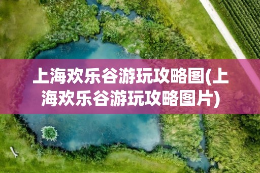 上海欢乐谷游玩攻略图(上海欢乐谷游玩攻略图片)