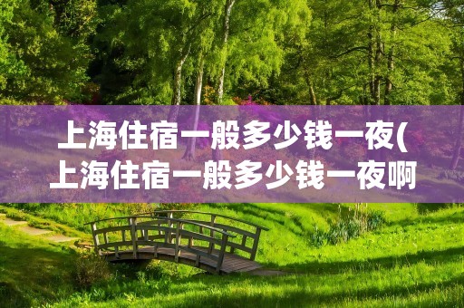 上海住宿一般多少钱一夜(上海住宿一般多少钱一夜啊)