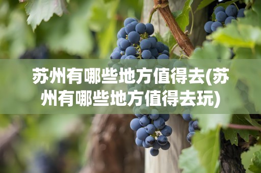 苏州有哪些地方值得去(苏州有哪些地方值得去玩)