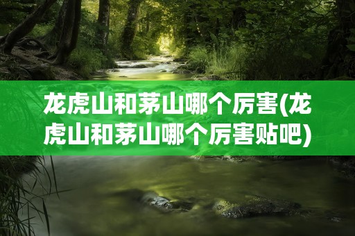 龙虎山和茅山哪个厉害(龙虎山和茅山哪个厉害贴吧)