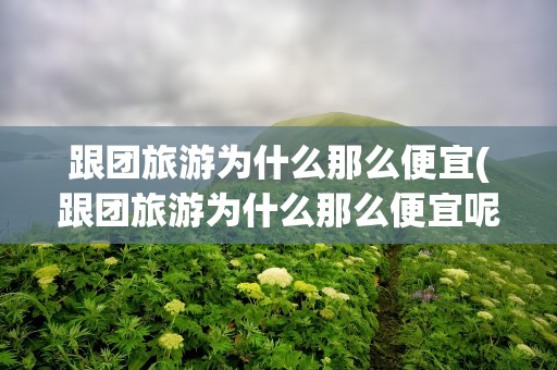 跟团旅游为什么那么便宜(跟团旅游为什么那么便宜呢)