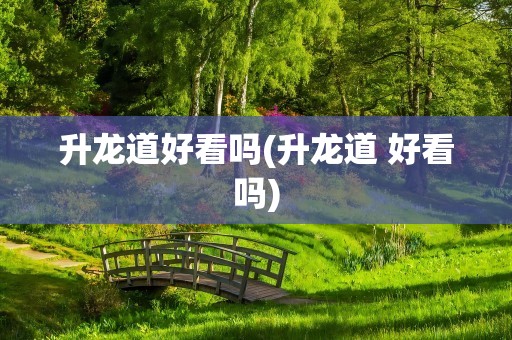 升龙道好看吗(升龙道 好看吗)