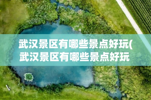 武汉景区有哪些景点好玩(武汉景区有哪些景点好玩 排名)
