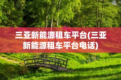 三亚新能源租车平台(三亚新能源租车平台电话)