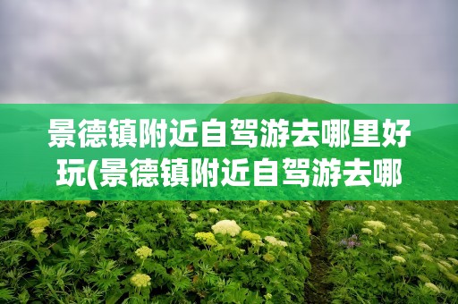 景德镇附近自驾游去哪里好玩(景德镇附近自驾游去哪里好玩儿)