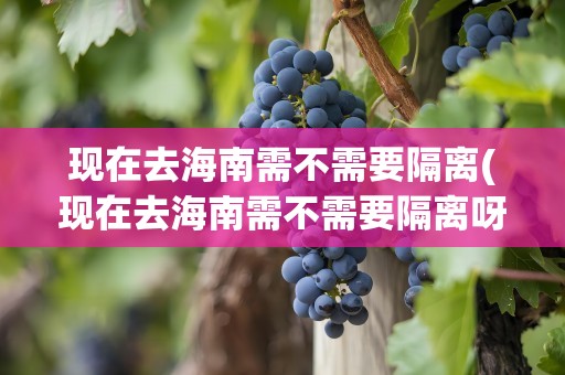 现在去海南需不需要隔离(现在去海南需不需要隔离呀)