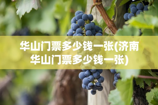 华山门票多少钱一张(济南华山门票多少钱一张)
