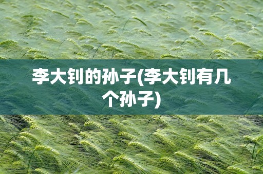 李大钊的孙子(李大钊有几个孙子)