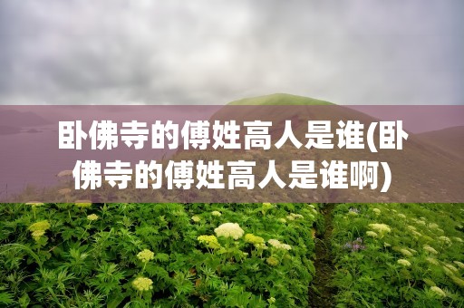 卧佛寺的傅姓高人是谁(卧佛寺的傅姓高人是谁啊)