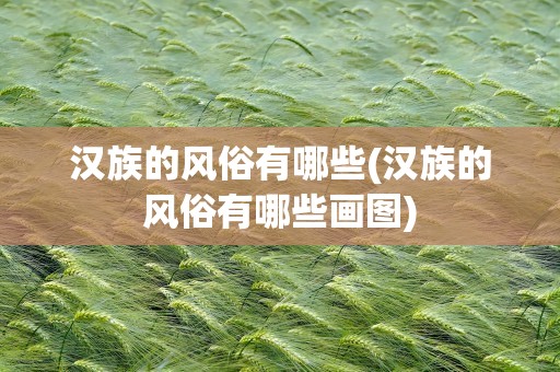 汉族的风俗有哪些(汉族的风俗有哪些画图)