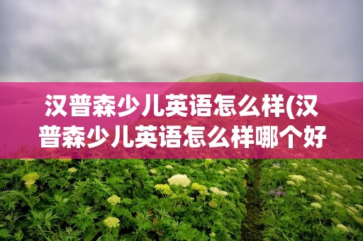 汉普森少儿英语怎么样(汉普森少儿英语怎么样哪个好)
