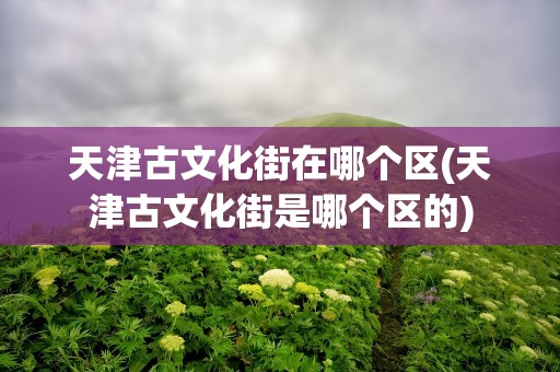 天津古文化街在哪个区(天津古文化街是哪个区的)