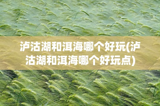 泸沽湖和洱海哪个好玩(泸沽湖和洱海哪个好玩点)