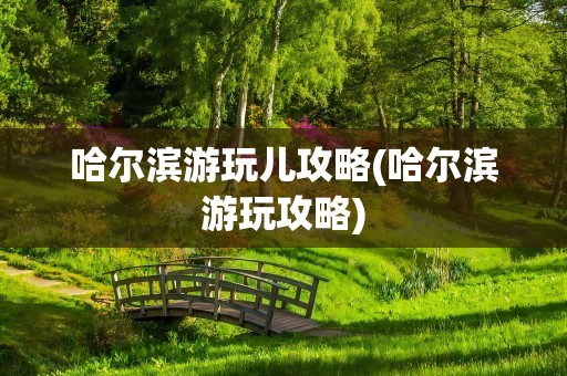 哈尔滨游玩儿攻略(哈尔滨游玩攻略)