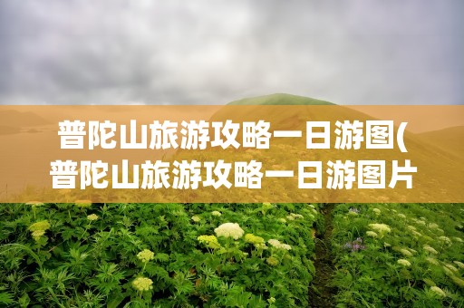 普陀山旅游攻略一日游图(普陀山旅游攻略一日游图片)