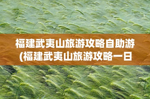 福建武夷山旅游攻略自助游(福建武夷山旅游攻略一日游)