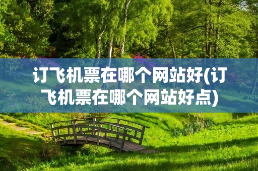 订飞机票在哪个网站好(订飞机票在哪个网站好点)