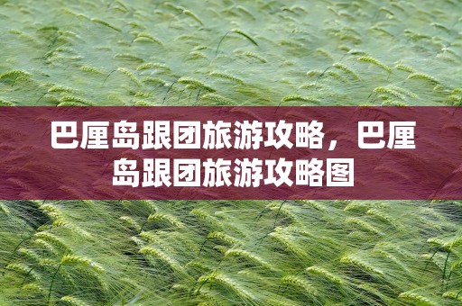 巴厘岛跟团旅游攻略，巴厘岛跟团旅游攻略图