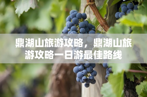 鼎湖山旅游攻略，鼎湖山旅游攻略一日游最佳路线